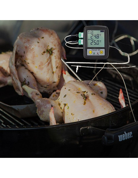 ThermaQ WiFi Data Logger za žar