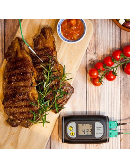 ThermaQ Bluetooth termometer za žar