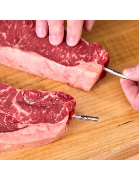 RFX Meat -  Sonda za meso