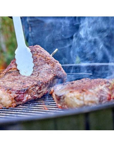 RFX Thermapen ONE kit