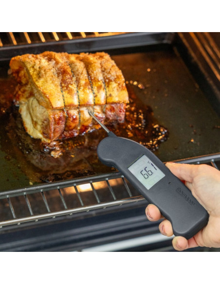 RFX Thermapen Classic kit