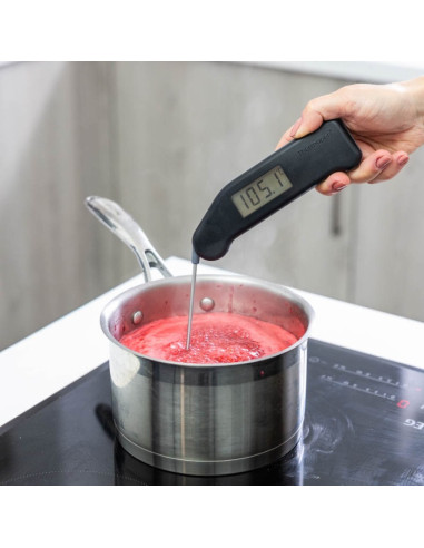 RFX Thermapen Classic kit