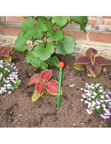 Termometer za zemljo