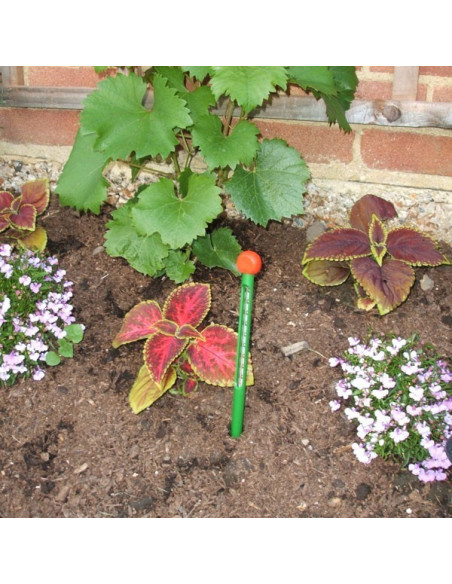 Termometer za zemljo